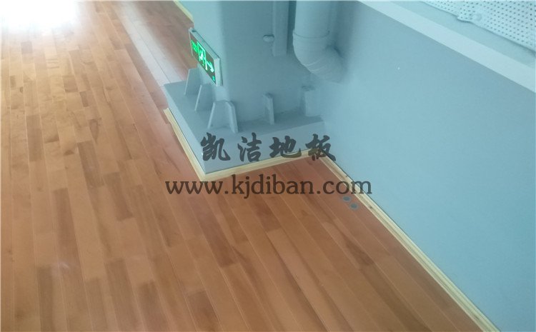 湖南省邵陽(yáng)市紀(jì)檢辦案場(chǎng)所籃球館木地板